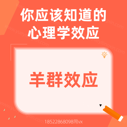心理学效应|羊群效应