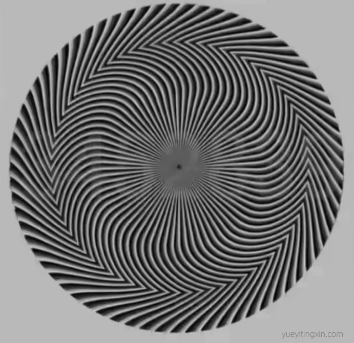 测测你的眼力|能看到图中的数字吗？有几位？分别是多少？