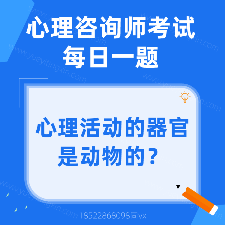 心理咨询师考试|每日一题|心理活动的器官是动物的?